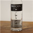 Gin - Brecon Special Reserve Gin Miniatures / 5cl / 40%