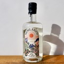 Gin - Newlands Artisanal Gin / 70cl / 42%