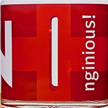 Gin - Nginious! Swiss Blended Gin / 50cl / 45% Gin 53,00 CHF