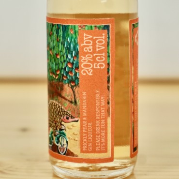 Gin - Copper in the Cloud Prickly Pear & Mandarin Gin-Likör Miniatur / 5cl / 20%