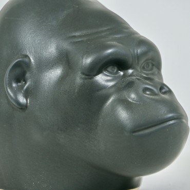 Rum - KONG Rainforest Black Edition / 70cl / 40%