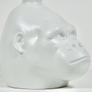 Rum - KONG Rainforest White Edition / 70cl / 40%