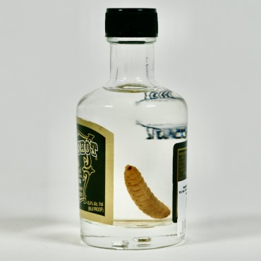 Mezcal - Wild Shot Silver by Toby Keith Miniatur / 5cl / 43.4%