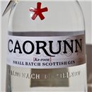 Gin - Caorunn Small Batch / 70cl / 41.8%