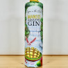 Gin - Copper in the Cloud Mango & Black Pepper Gin / 70cl / 43%