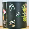 Gin Explorers Selva Costa Rica Gin / 50cl / 45%
