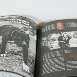 Mexiko! Tacos, Tequila, Tattoos / Salt & Silver Kochbuch