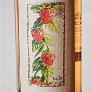 Liqueur - Villa De Varda Fragoline Di Bosco / 50cl / 28% Liqueur 25,00 CHF