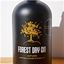 Gin - Forest Autumn Dry Gin / 50cl / 42%