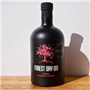 Gin - Forest Spring Dry Gin / 50cl / 42%